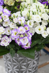 Lysianthus russellianum flowers is a mixed bouquet