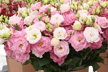Lysianthus russellianum flowers is a mixed bouquet