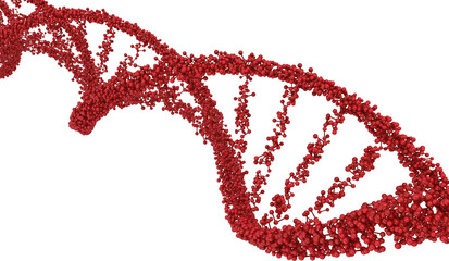 Image of molecular red dna strand structure