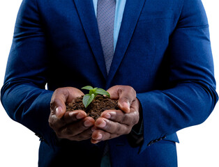 Image of midsection of african american businessman holding seedling in earth