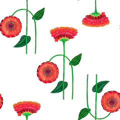 Seamless pattern of red flowers poppy on white background.
