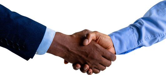 Image of shaking hands of biracial businesswoman and african american businessman - Powered by Adobe