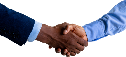 Image of shaking hands of biracial businesswoman and african american businessman