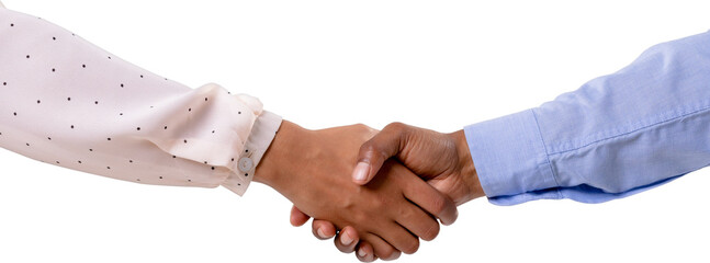 Image of shaking hands of biracial businesswoman and african american businessman