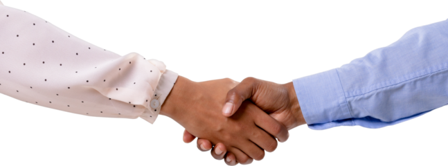 Image of shaking hands of biracial businesswoman and african american businessman