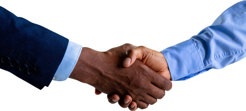 Image of shaking hands of biracial businesswoman and african american businessman