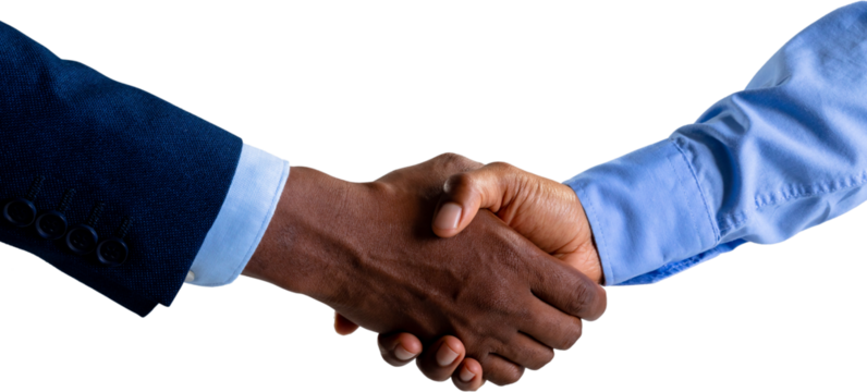 Image of shaking hands of biracial businesswoman and african american businessman