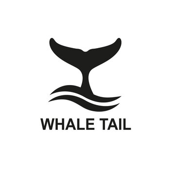 Whale tail on a white background. Vector illustration