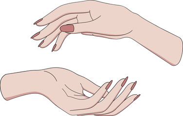 Hand Filled Illustration Cosmetic Spa