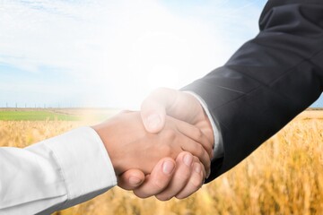 Handshake farmer in field. agricultural business concept