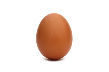 One chicken egg stands on a white background.