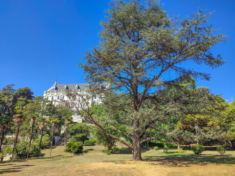 La beaut&eacute; de l'architecture et du parc de Valrose, class&eacute; monument historique, d&eacute;sormais universit&eacute; des sciences de Nice Sophia Antipolis sur la C&ocirc;te d'Azur
