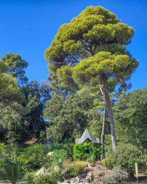 La beaut&eacute; de l'architecture et du parc de Valrose, class&eacute; monument historique, d&eacute;sormais universit&eacute; des sciences de Nice Sophia Antipolis sur la C&ocirc;te d'Azur