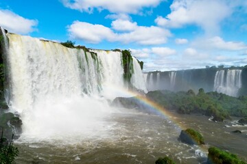 Fototapeta premium Beautiful landscape of the famous Iguazu falls in Brazil on a sunny morning