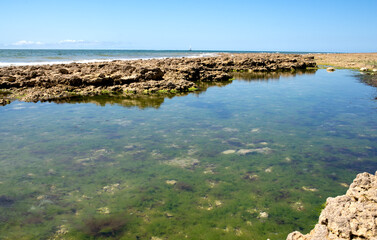 La côte atlantique française avec des algues vertes 