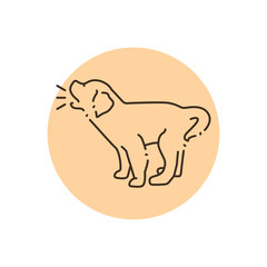 Barks golden retriever puppy color line icon. Pictogram for web page