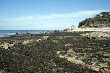 La c&ocirc;te rocheuse sur l'&icirc;le d'Ol&eacute;ron en France avec des algues vertes