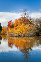 Fototapeta na wymiar Colorful Autumn trees reflecting on the water of a pond on a beautiful Autumn day in France