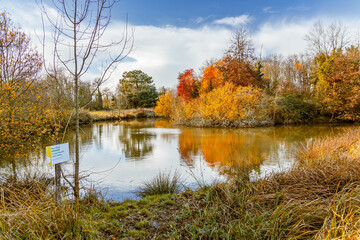 Fototapeta na wymiar Autumn landscape with a lake and multicolored trees in France