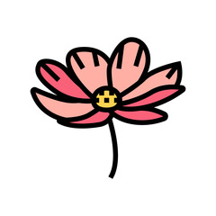 cosmos flower spring color icon vector. cosmos flower spring sign. isolated symbol illustration