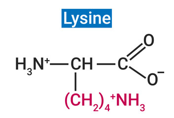 Lysine, or L-lysine, is an essential amino acid