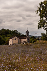 Fototapeta na wymiar Church of Saint-Pierre, Argagnon