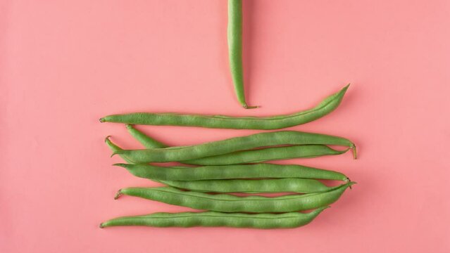 bunch of green beans on light pink background, also known as french beans, string beans or snaps, freshly harvested vegetable