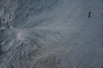Dark grey wet soil texture and background
