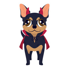Isolated cute chihuahua dog with a halloween demon costume Vector
