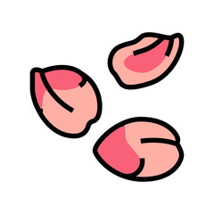 petal spring color icon vector. petal spring sign. isolated symbol illustration