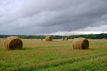 Rural landscape scene. Open spaces. Harvested field and stubble. Bales of collected straw. Gloomy cloudy day.