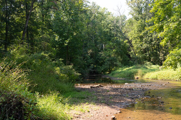 Beautiful nature scene of Pigeon creek babbling through the woods of the East Coventry nature preserve. I love how serene this image is and how it is almost relaxing. The beautiful green vegetation.