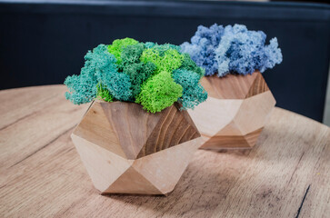 Scandinavian moss in a wooden planter on a wooden table.