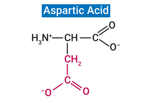 carboxyl groups are ionized at physiological pH, also known as aspartate