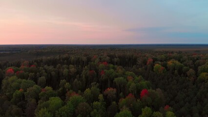 The drone flies over the morning taiga with coniferous forest and red deciduous trees. Forests of Canada in autumn. Sunrise in the northern countries from a drone over an unrecognizable place.