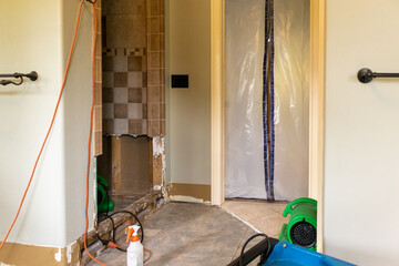 mold removal and restoration