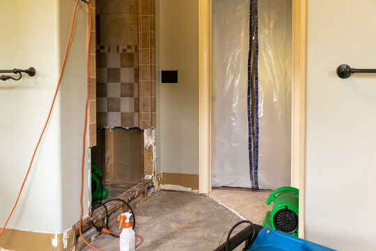 Mold Removal And Restoration