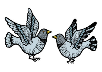 Dove pigeon birds tattoo color sketch engraving PNG illustration with transparent background