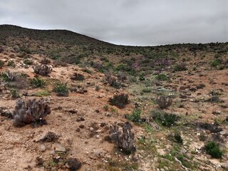 volcanic landscape in island