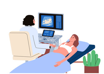 Fototapeta na wymiar Pregnant woman is at the ultrasound screening. Doctor and client. Future mother and a doctor. Medical equipment. Pregnancy scan. Flat vector illustration
