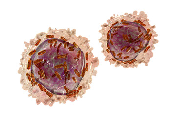 Leukaemia white blood cell with mitochondria3D illustration - obrazy, fototapety, plakaty