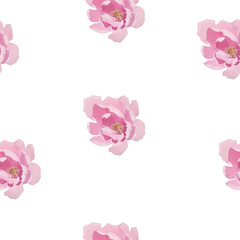 flower, flowers, spring, flora, flowers pattern, flowers vector
