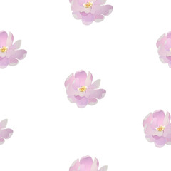 flower, flowers, spring, flora, flowers pattern, flowers vector