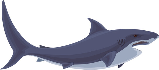 Shark.Underwater cute marine wildlife .illustration of stylized shark.	