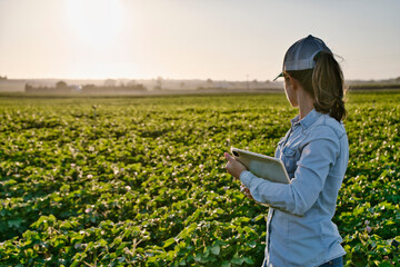 Smart farmer woman agronomist checks the field with tablet. Inteligent agriculture and digital agriculture..Female, young woman - obrazy, fototapety, plakaty