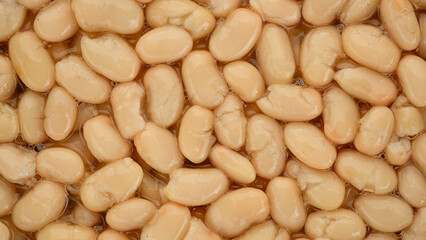 White kidney beans close up
