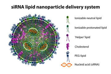 Lipid nanoparticle mRNA vaccine - obrazy, fototapety, plakaty