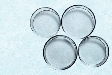 Empty glass lab petri dish for scientific research