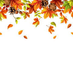 Seamless border with orange, brown, and green falling autumn leaves and pine cones. Vector leaf fall frame