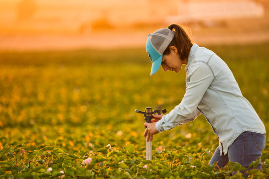 Farmer woman fixing irrigation system. Young farmer woman repairing sprinkle system